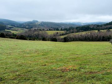 Campo de 109 hectáreas en La Unión, Loncotregua – Región de Los Ríos