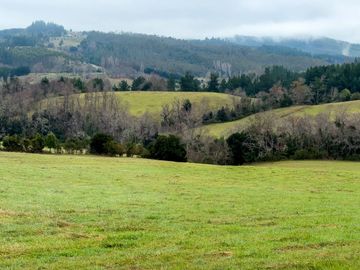Campo de 109 hectáreas en La Unión, Loncotregua – Región de Los Ríos