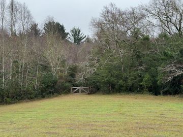 Campo de 109 hectáreas en La Unión, Loncotregua – Región de Los Ríos