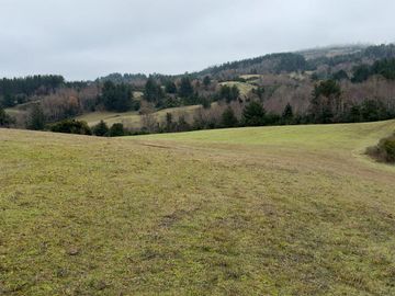 Campo de 109 hectáreas en La Unión, Loncotregua – Región de Los Ríos