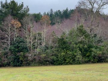 Campo de 109 hectáreas en La Unión, Loncotregua – Región de Los Ríos