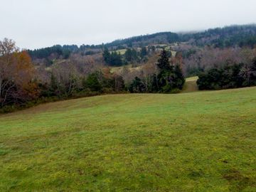 Campo de 109 hectáreas en La Unión, Loncotregua – Región de Los Ríos