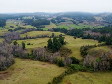 Campo de 109 hectáreas en La Unión, Loncotregua – Región de Los Ríos