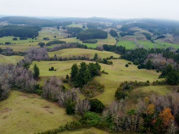 Campo de 109 hectáreas en La Unión, Loncotregua – Región de Los Ríos