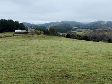 Campo de 109 hectáreas en La Unión, Loncotregua – Región de Los Ríos