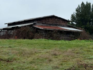 Campo de 109 hectáreas en La Unión, Loncotregua – Región de Los Ríos