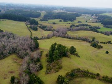 Campo de 109 hectáreas en La Unión, Loncotregua – Región de Los Ríos