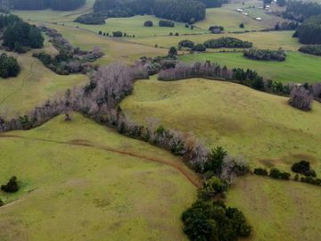 Campo de 109 hectáreas en La Unión, Loncotregua – Región de Los Ríos