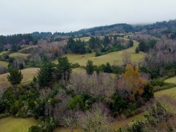Campo de 109 hectáreas en La Unión, Loncotregua – Región de Los Ríos