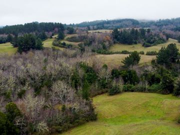 Campo de 109 hectáreas en La Unión, Loncotregua – Región de Los Ríos