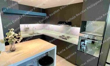 2 Bedroom Bi Level Modern Furnished for Rent or Sale