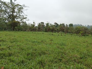 38,4 HECTAREAS EN VENTA EN SECTOR SANTA MARIANITA EL ESFUERZO EN SANTO DOMINGO/ 25URB15
