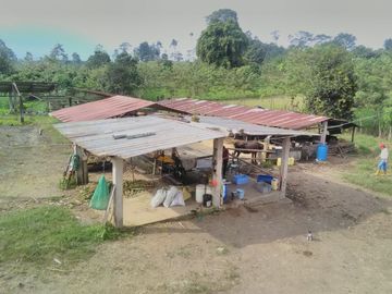 38,4 HECTAREAS EN VENTA EN SECTOR SANTA MARIANITA EL ESFUERZO EN SANTO DOMINGO/ 25URB15