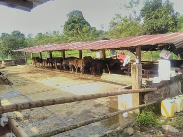 38,4 HECTAREAS EN VENTA EN SECTOR SANTA MARIANITA EL ESFUERZO EN SANTO DOMINGO/ 25URB15