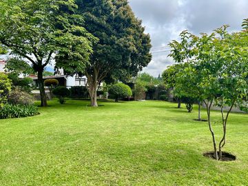 Casa Orquideas
