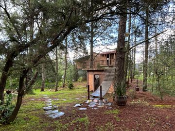 Cabaña en Huasca de Ocampo, Hgo, Oportunidad de Inversión.