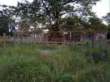 12 ha Estacion Zoilo Peralta con Vivienda y Mejoras