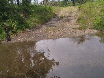 Vendo finca de 55 Hectáreas en recinto Naranjal, Provincia Esmeraldas