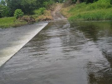Vendo finca de 55 Hectáreas en recinto Naranjal, Provincia Esmeraldas