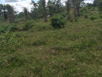 Vendo finca de 55 Hectáreas en recinto Naranjal, Provincia Esmeraldas