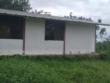 Vendo finca de 55 Hectáreas en recinto Naranjal, Provincia Esmeraldas