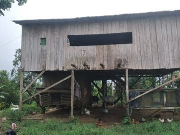 Vendo finca de 55 Hectáreas en recinto Naranjal, Provincia Esmeraldas