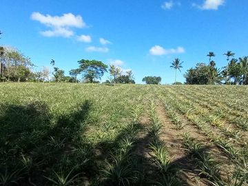 Farm Lot For Sale in Mahabang Kahoy Indang Cavite-MC