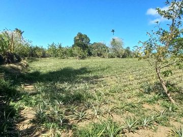 Farm Lot For Sale in Mahabang Kahoy Indang Cavite-MC