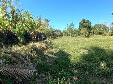 Farm Lot For Sale in Mahabang Kahoy Indang Cavite-MC