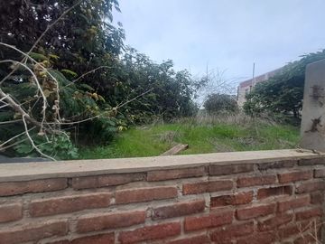 Se vende sitio, Canelillo a la entrada del Bosque
