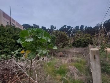 Se vende sitio, Canelillo a la entrada del Bosque