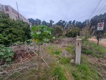 Se vende sitio, Canelillo a la entrada del Bosque