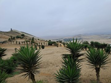VENTA TERRENO COND. MAR & BOSQUE EN PUNTA NEGRA