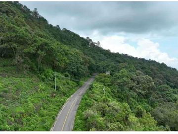 SE VENDEN HECTAREAS EN TIGRILLOS, CHARO MICHOACAN