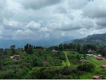 SE VENDEN HECTAREAS EN TIGRILLOS, CHARO MICHOACAN