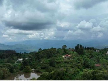 SE VENDEN HECTAREAS EN TIGRILLOS, CHARO MICHOACAN