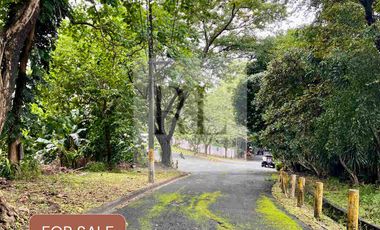 La Vista Subdivision Quezon City Vacant lot for sale
