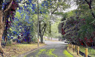 La Vista Subdivision Quezon City Vacant lot for sale