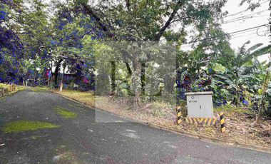 La Vista Subdivision Quezon City Vacant lot for sale
