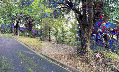 La Vista Subdivision Quezon City Vacant lot for sale