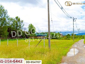 DD-954707 Land Bokhang 382 sq.w. San Kamphaeng, Chiang Mai near San Kamphaeng Hospital