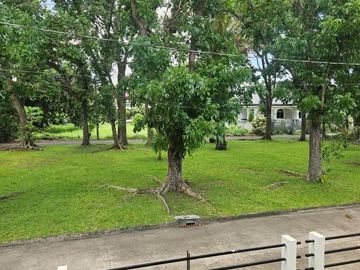 For sale: house and lot