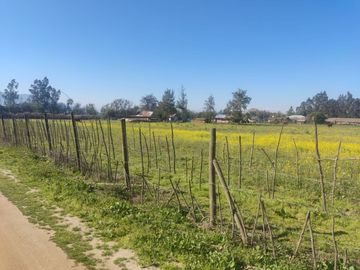 Terreno parcela Puangue melipila
