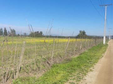 Terreno parcela Puangue melipila