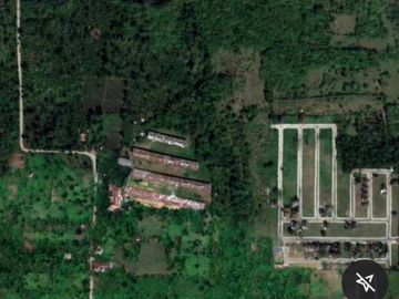 Farm Lot For Sale in Indang Cavite-MC