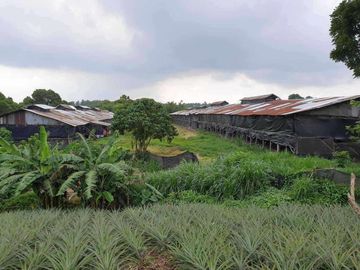 Farm Lot For Sale in Indang Cavite-MC
