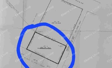 For Sale Gated Vacant Lot Sta. Mesa Manila