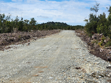 Parcela con bosque nativo en Calbuco, región de Los Lagos