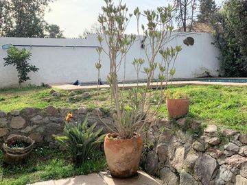 Camino del Convento. Gran terreno, piscina climatizada