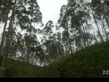 VENTA TERRENO DE 56.0636 HAS. SECTOR SANTA CRUZ, DISTRITO DE OXAPAMPA.